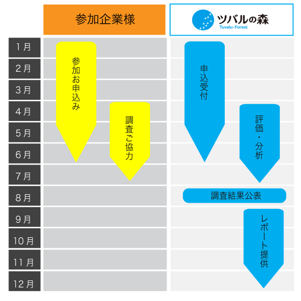 スケジュール