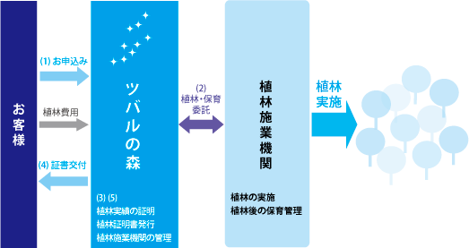 「ツバルの森」の仕組み図