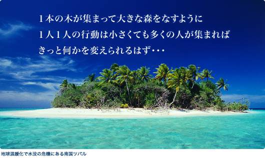 １本の木が集まって大きな森をなすように
１人１人の行動は小さくても多くの人が集まれば
きっと何かを変えられるはず・・・
