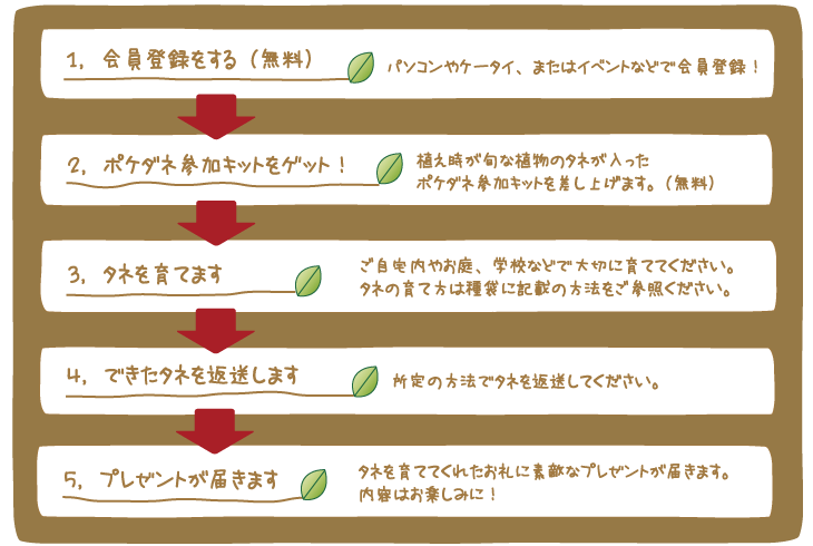 １．会員登録をする（無料） ２．ポケダネ参加キットをゲット！ ３．タネを育てます ４．できたタネを返送します。 ５．プレゼントが届きます。